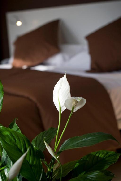 Hotel La Sequia Molinar Campdevánol Eksteriør bilde